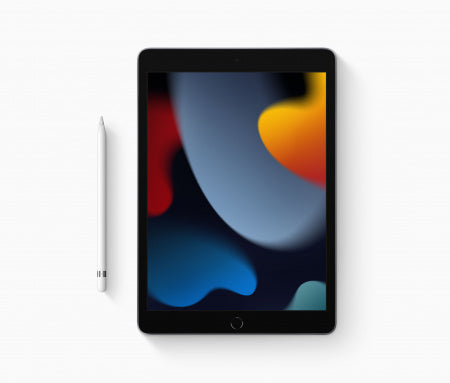 IPAD Apple iPad-9 -10.2" 64GB WIFI - Grey MK2K3 B/A
